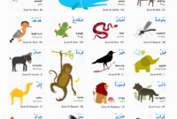 jual poster pendidikan islam hewan-dalam-al-quran